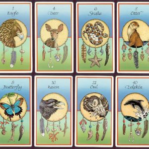 Medicine Cards Sample